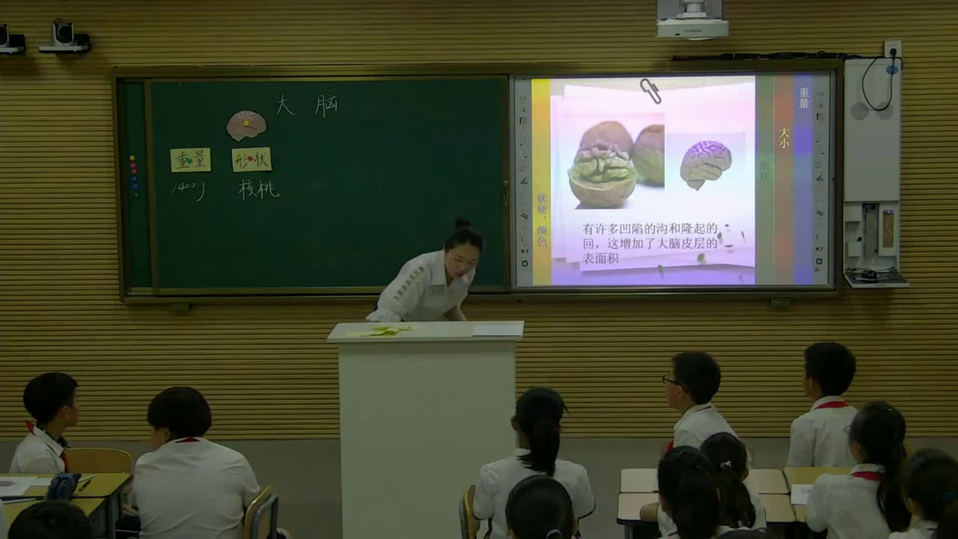 苏教2001版科学五下《1大脑》辽宁张老师-全国一等奖