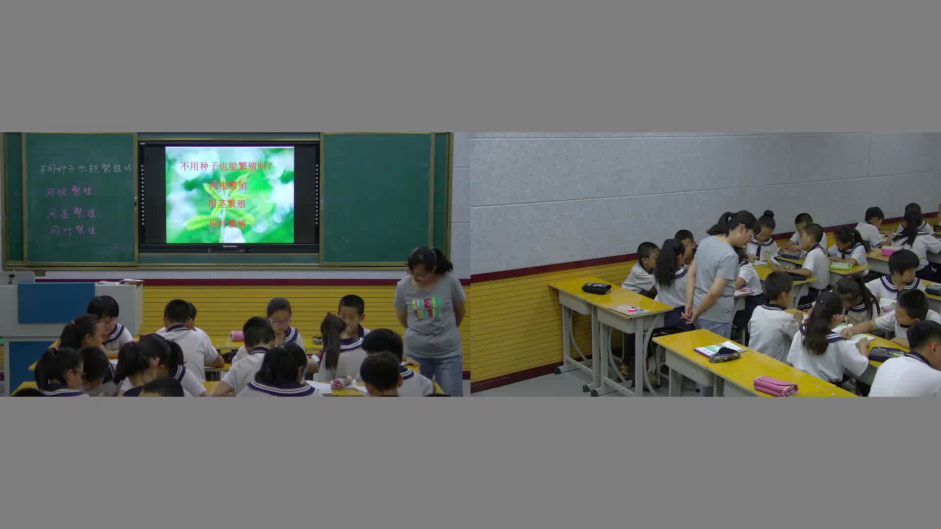 苏教2001版科学五下《1不用种子也能繁殖吗》山西潘老师-市一等奖