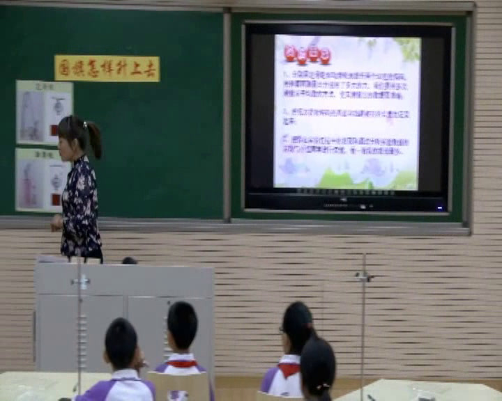 苏教2001版科学五下《5国旗怎样升上去》辽宁荆老师-全国一等奖