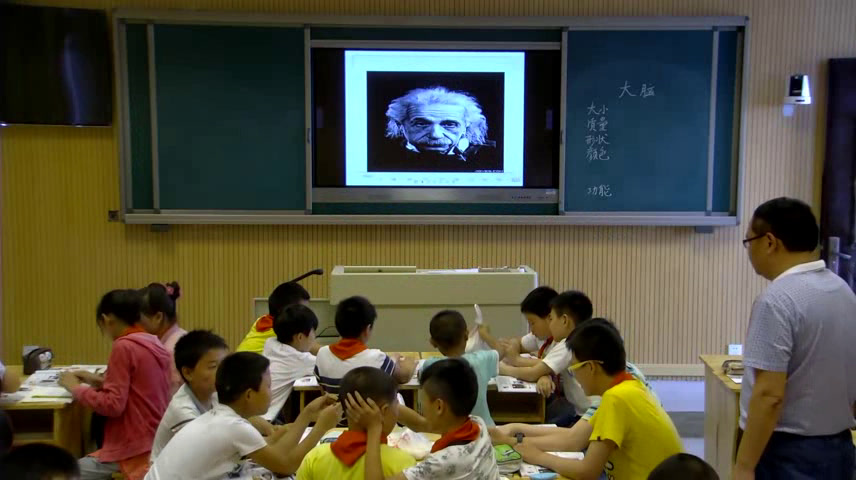 苏教2001版科学五下《1大脑》江苏张老师-市一等奖