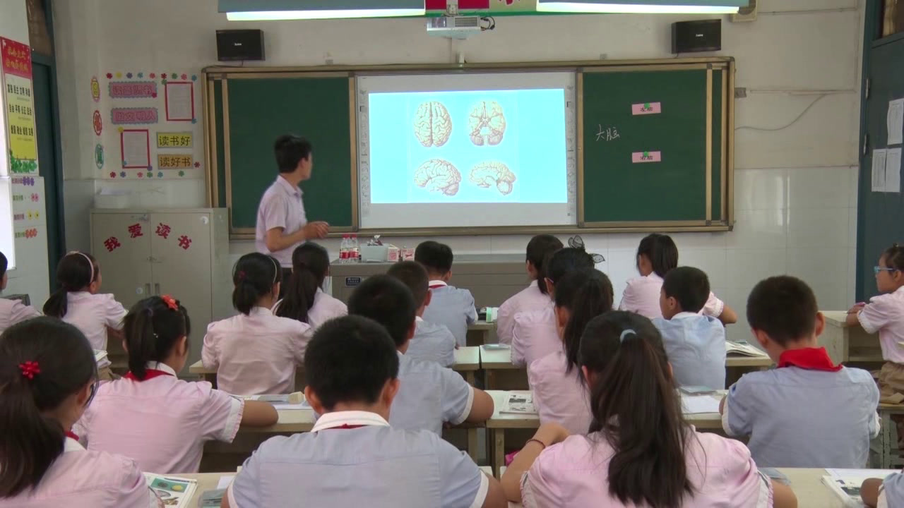 苏教2001版科学五下《1大脑》陕西李老师-市一等奖