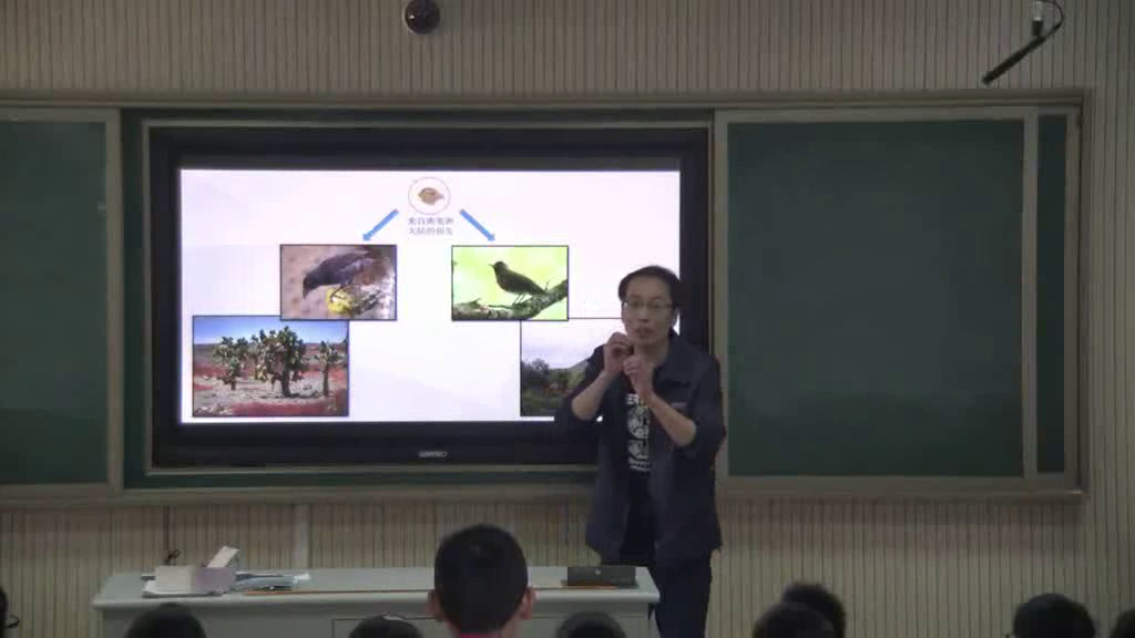 苏教2001版科学六下《3达尔文与他的“进化论”》江苏陈老师-市一等奖