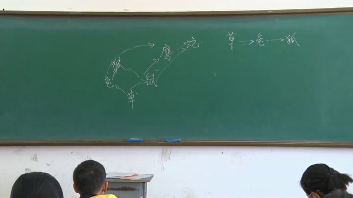 苏教2001版科学六下《4生态平衡》辽宁梁老师-市一等奖