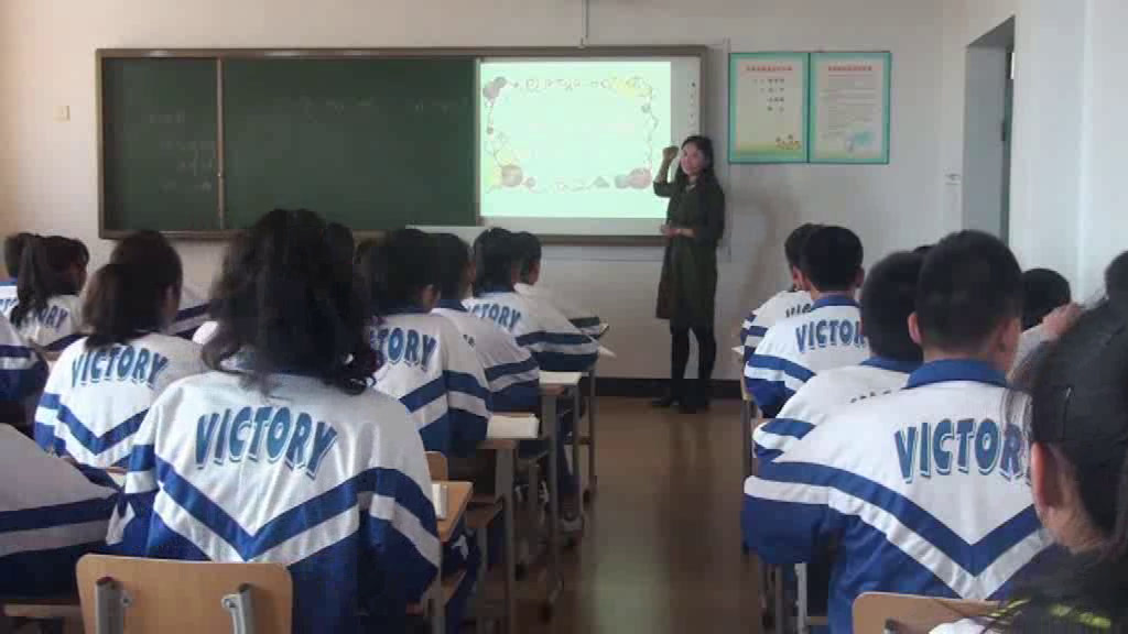 语文2011课标版七下《14蜘蛛》辽宁汪老师-市一等奖
