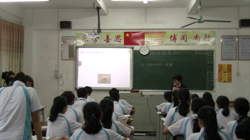 语文2011课标版七下《15珍奇的动物——针鼹》广东陈老师-市一等奖