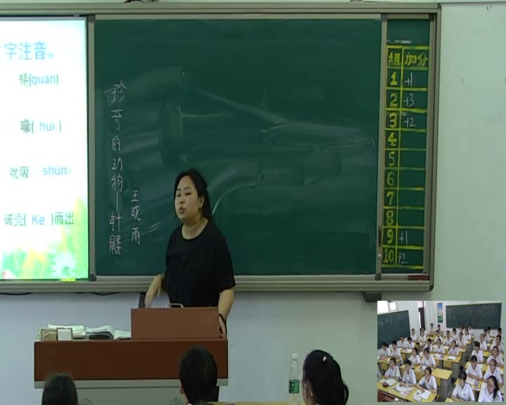 语文2011课标版七下《15珍奇的动物——针鼹》辽宁周老师-市一等奖