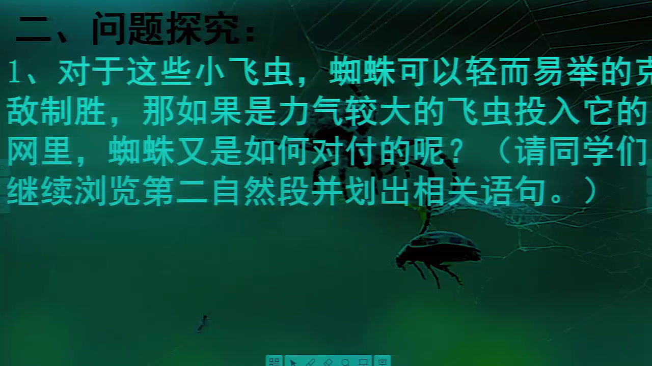 语文2011课标版七下《14蜘蛛》宁夏拜老师-市一等奖