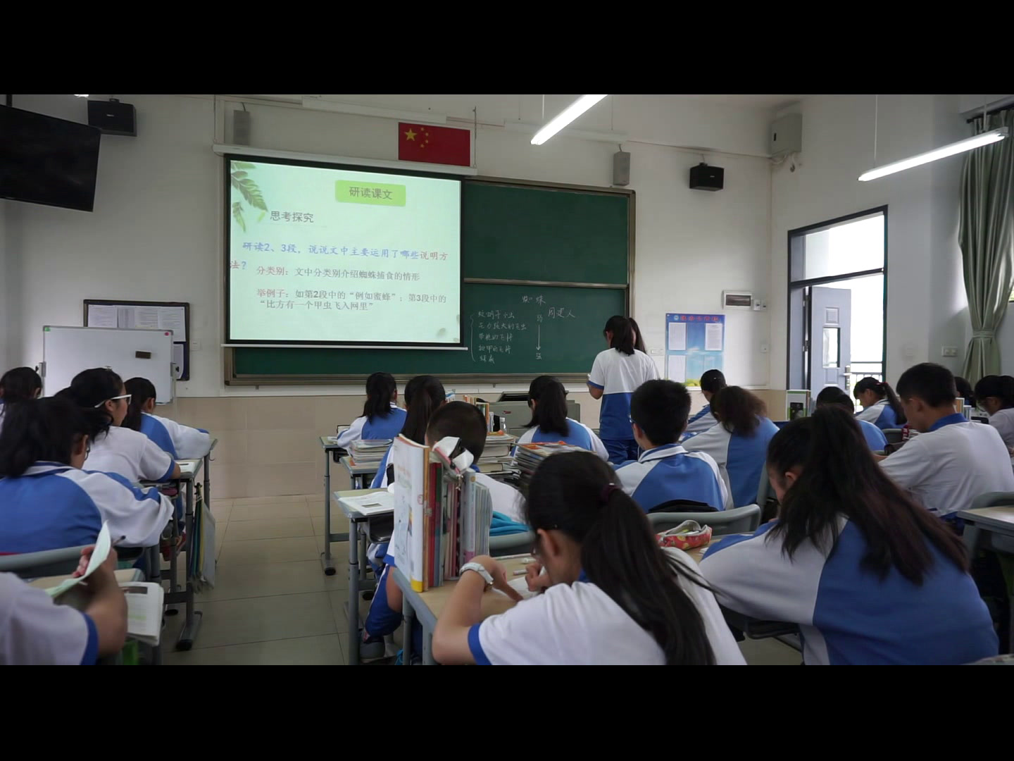 语文2011课标版七下《14蜘蛛》广东陈老师-市一等奖