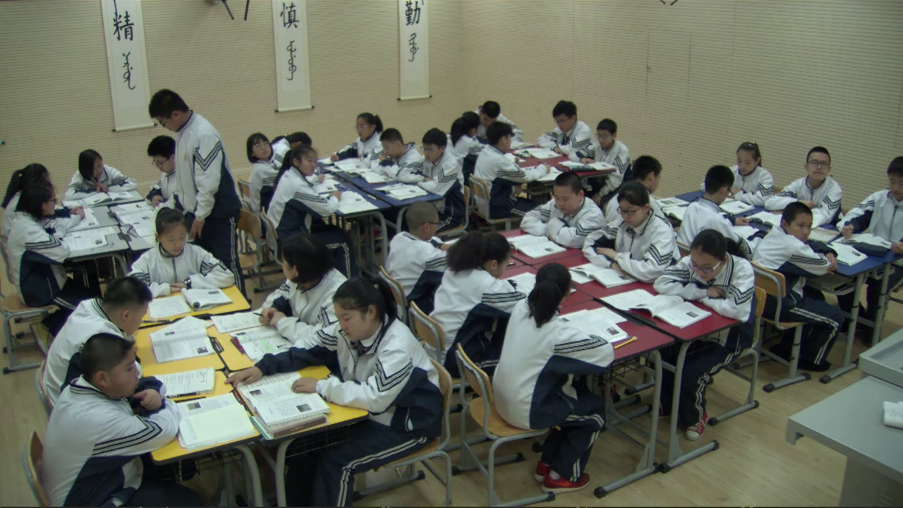 语文2011课标版七下《14蜘蛛》辽宁吴老师-市一等奖