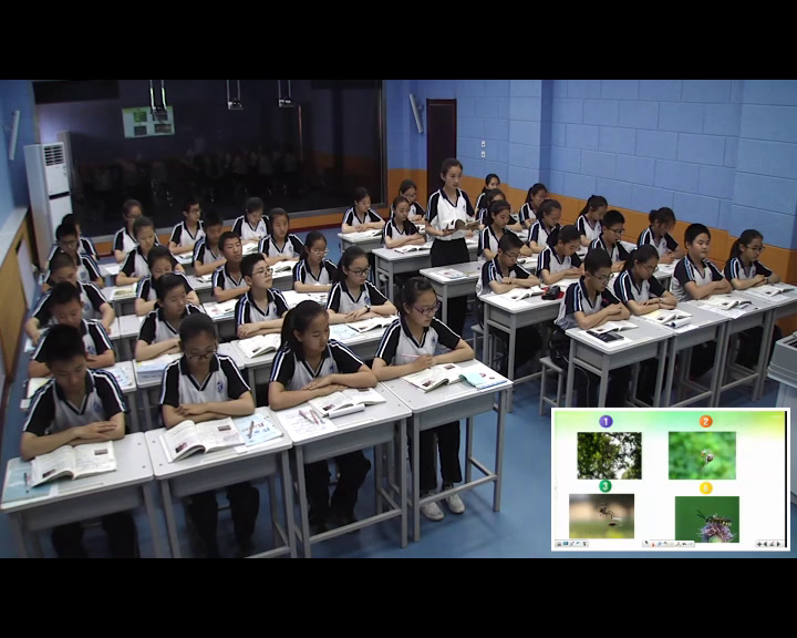 语文2011课标版七下《14蜘蛛》宁夏郭老师-全国一等奖