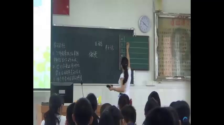 语文2011课标版七下《3白鹅》广东蓝老师-市一等奖