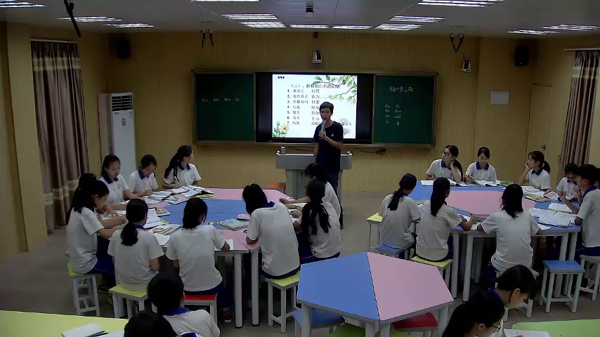 语文2011课标版八下《11.杨修之死》广东刘老师-市一等奖