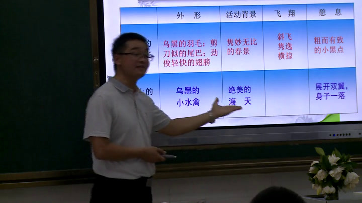 语文2011课标版七下《4海燕》湖南张老师-县级优课