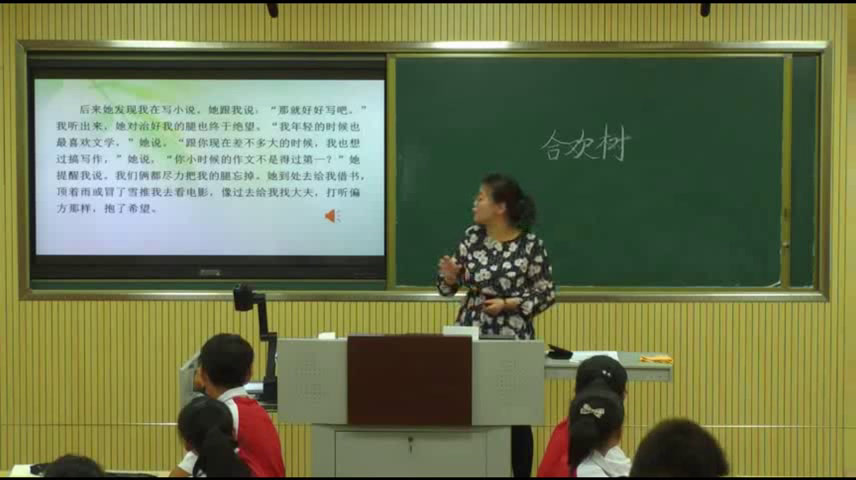 语文2011课标版八下《4.合欢树》辽宁马老师-市一等奖