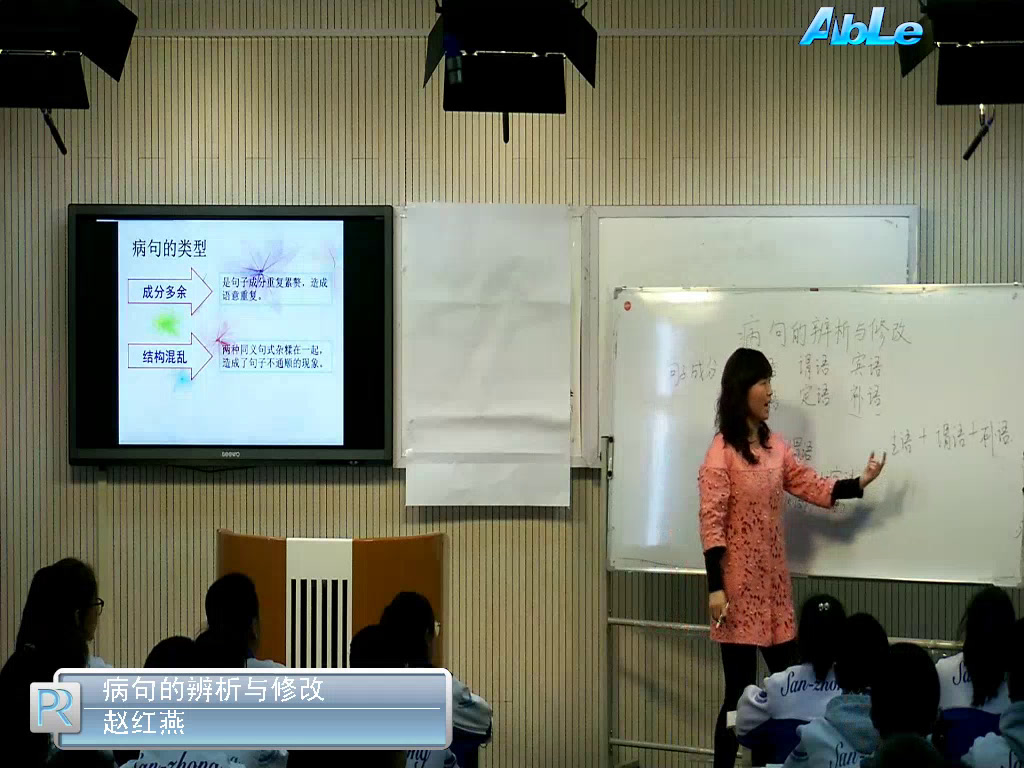 语文2011课标版八下《附录语法知识（三）》新疆老师-