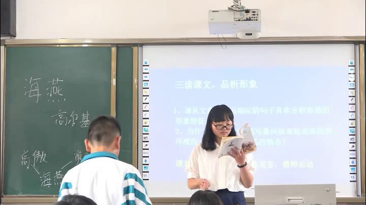 苏教版语文八下《一海燕》贵州陶老师-市一等奖