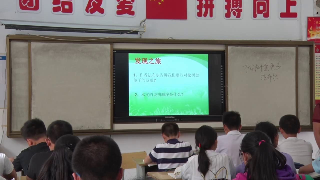 苏教版语文七下《十六松树金龟子（节选）》江苏李老师-市一等奖