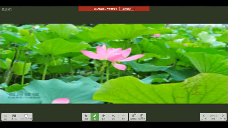 苏教版语文八下《写作适用联想，丰富写作内容》宁夏夏老师-县级优课
