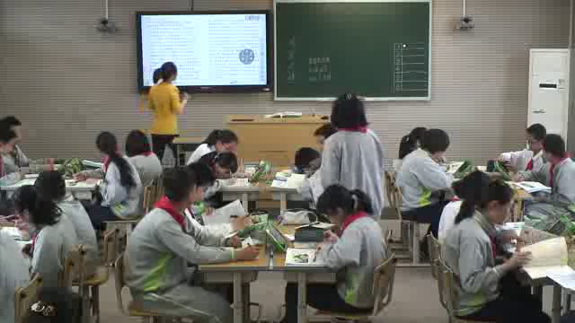 泸教版语文七下《二0旅鼠之谜》上海市韩老师-