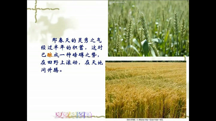 苏教版语文七上《十七夏》江苏黄老师-县级优课