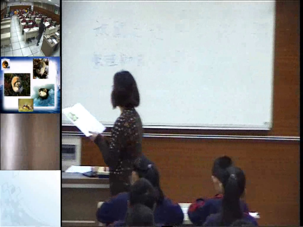 泸教版语文七下《二0旅鼠之谜》上海市汪老师-
