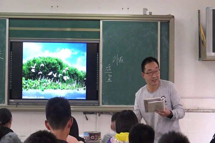 苏教版语文九上《关于散文《白鹭》（附白鹭）》江苏赵老师-县级优课