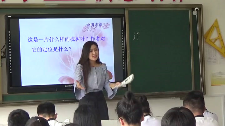 语文2011课标版八上《一片槐树叶》辽宁付老师-市一等奖