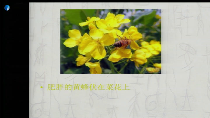 语文2011课标版七上《2从百草园到三味书屋》广东钟老师-市一等奖