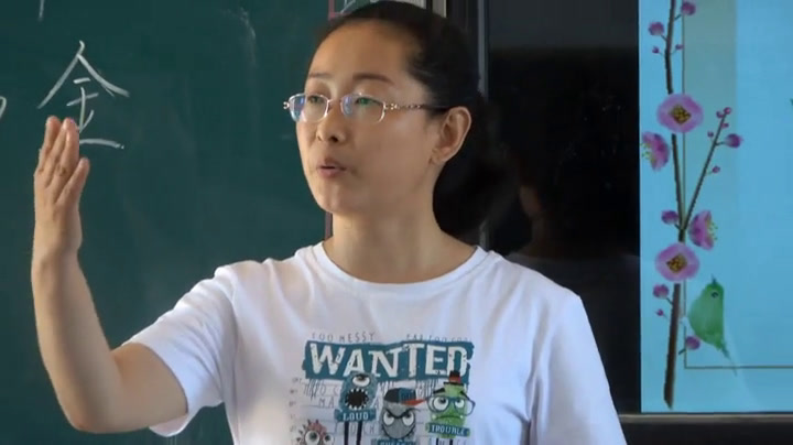 语文2011课标版九上《假如生活欺骗了你》辽宁苏老师-市一等奖
