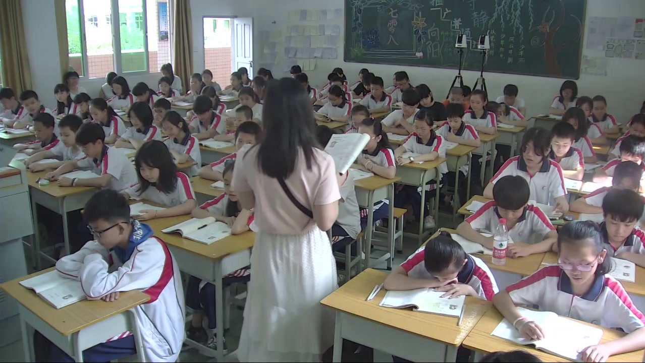 语文2011课标版九上《假如生活欺骗了你》广东吴老师-县级优课