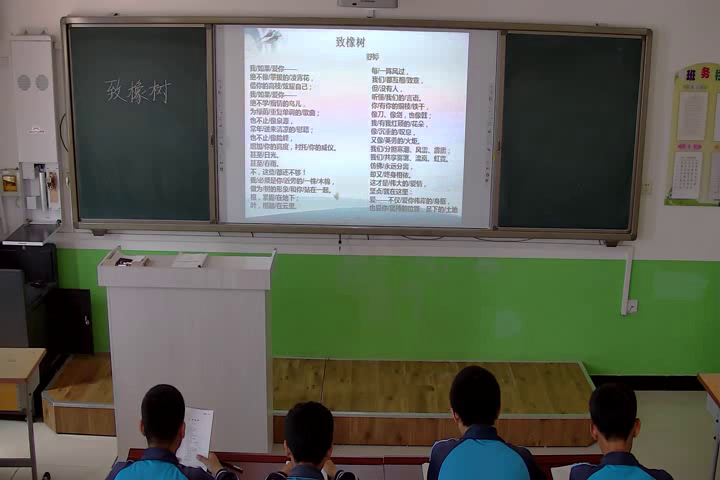语文2011课标版九上《2致橡树》辽宁安老师-市一等奖
