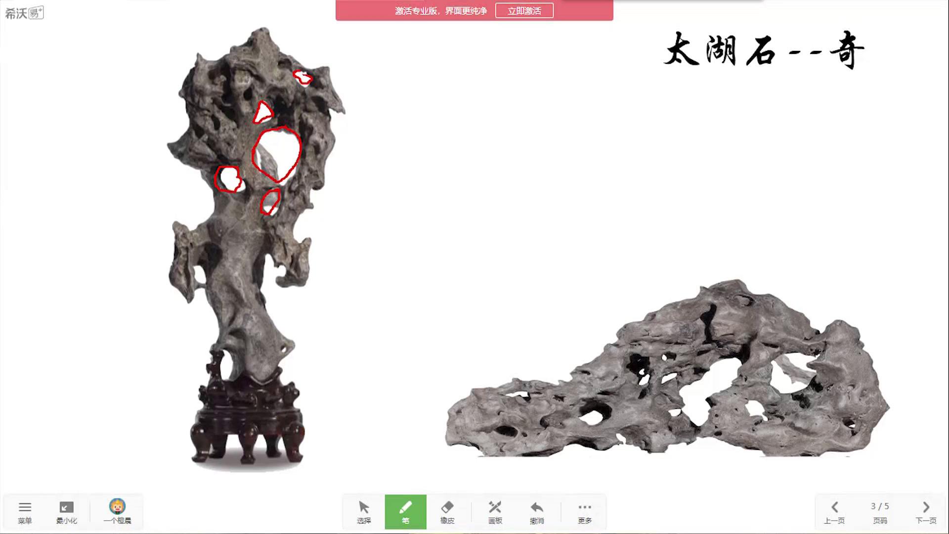 浙人美版美术三下《16奇石》福建陈老师-市一等奖