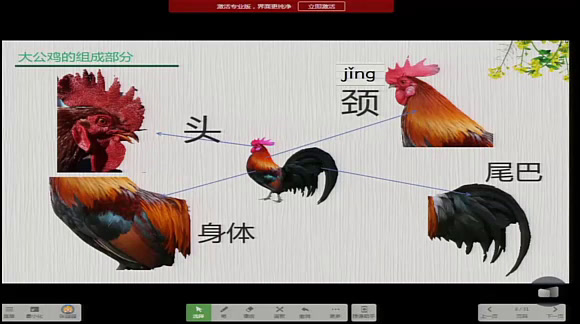 浙人美版美术一下《16神气的大公鸡》贵州张老师-市一等奖