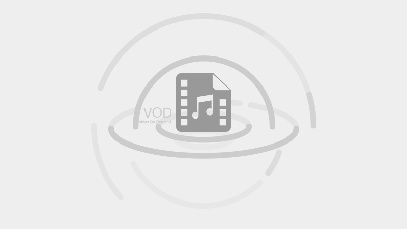 浙人美版美术一下《18蘑菇家园》河北刘老师-县级优课
