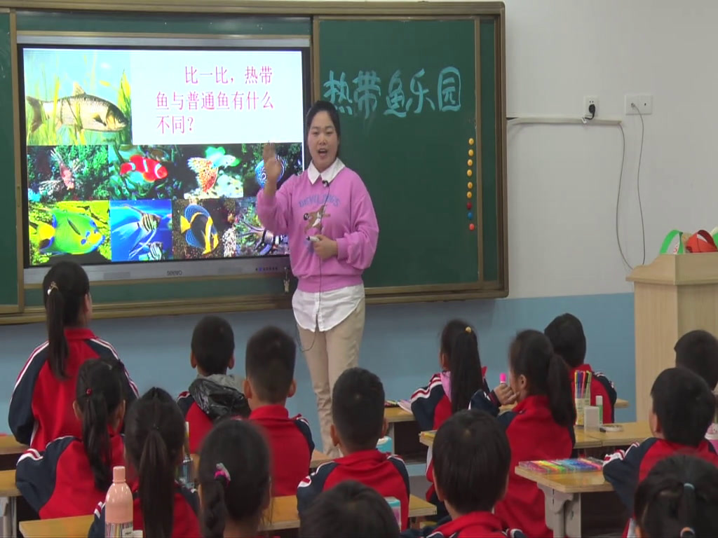 浙人美版美术一下《15热带鱼乐园》河南王老师-市一等奖
