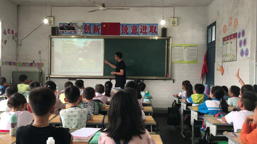 浙人美版美术四下《7生长的植物》浙江蒋老师-县级优课