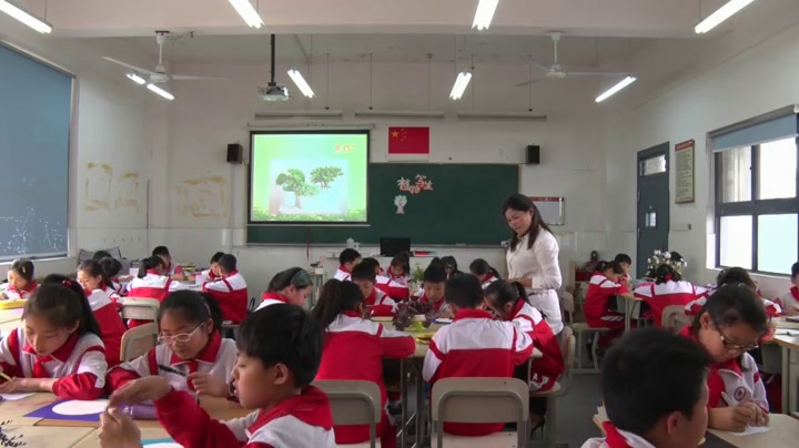 浙人美版美术五下《11植物写生》贵州林老师-省一等奖