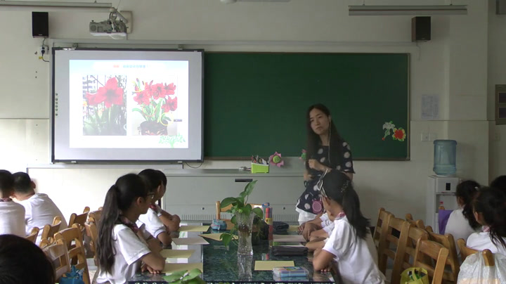 浙人美版美术五下《11植物写生》浙江潘老师-省一等奖