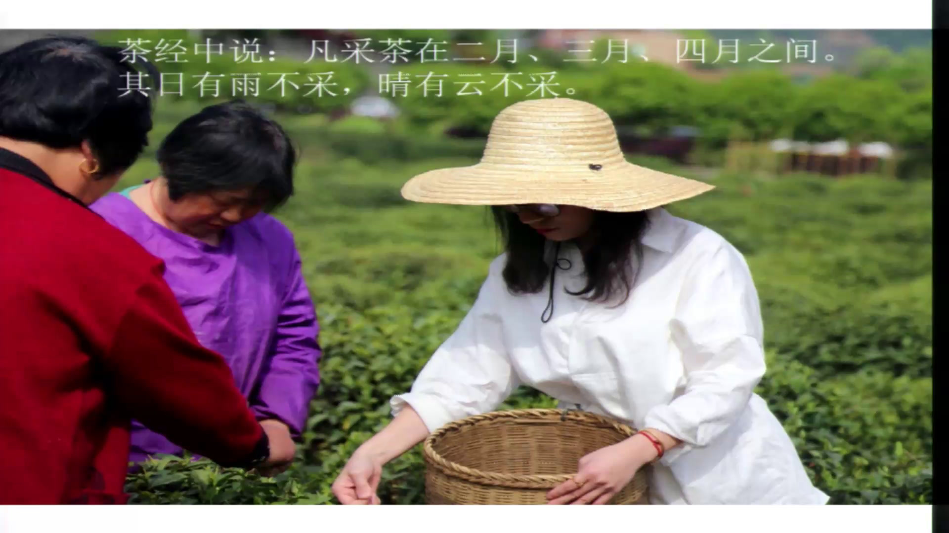 浙人美版美术四下《1茶香四溢》浙江赵老师-省一等奖
