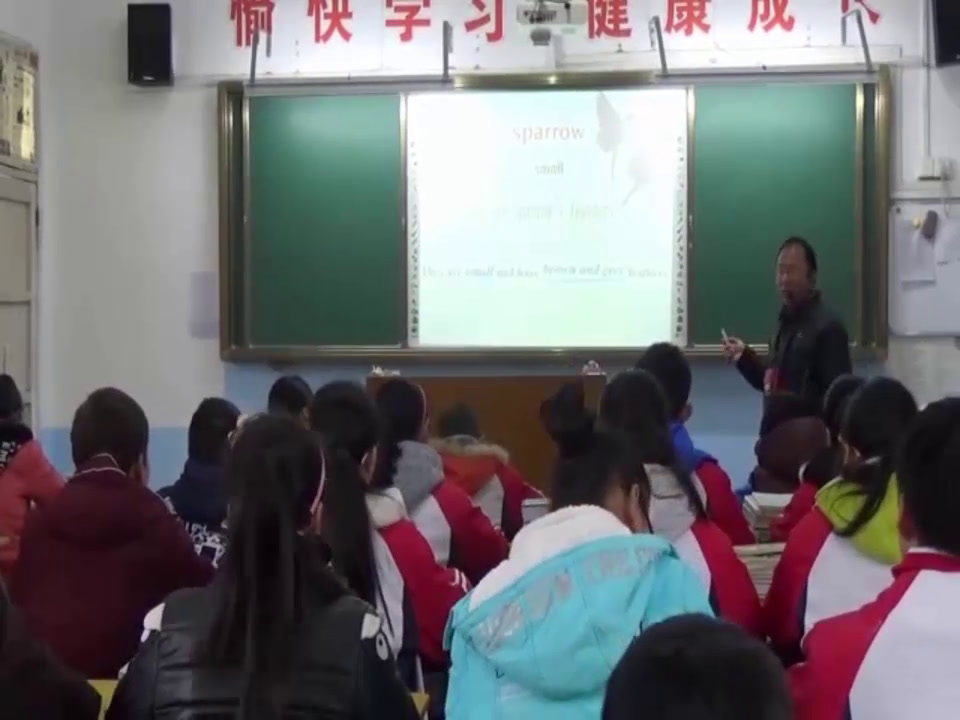 牛津译林版英语八上Unit6《Welcome to the unit》安徽陈老师-市一等奖