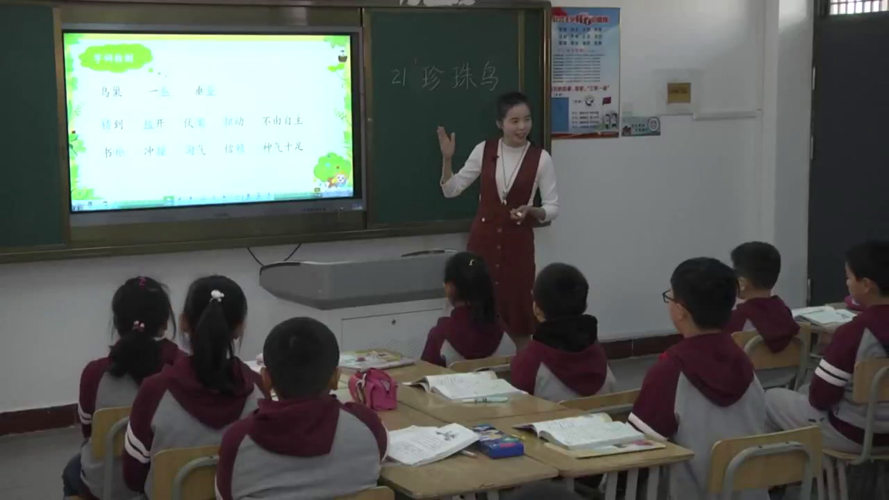 部编版语文五上《珍珠鸟》安徽张老师-全国一等奖